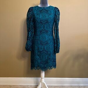 Lace Long Sleeve Sheath. Bodice fully lined, sheer sleeves. Size 00, Runs big.